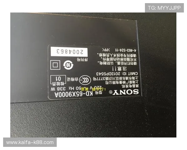 tengbo888官网诚信保障，玩家放心选择的最佳平台